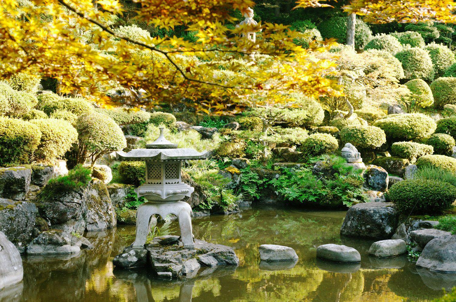 Garden Installation