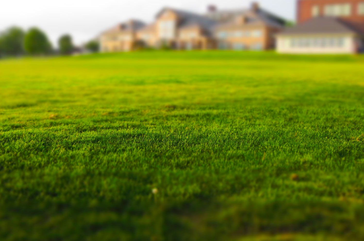 Turfing